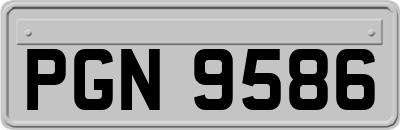 PGN9586