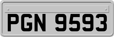 PGN9593