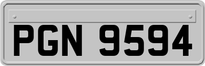 PGN9594