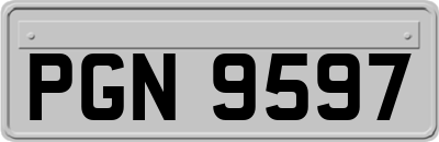PGN9597