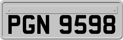 PGN9598