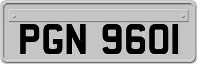 PGN9601