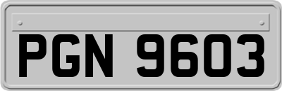 PGN9603