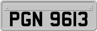 PGN9613