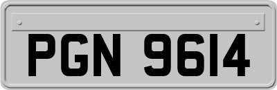 PGN9614