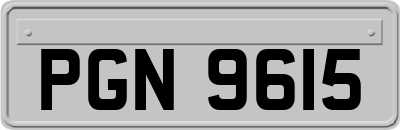 PGN9615