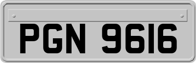 PGN9616