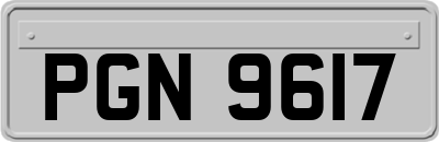 PGN9617