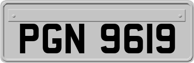 PGN9619