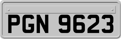 PGN9623