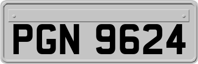 PGN9624