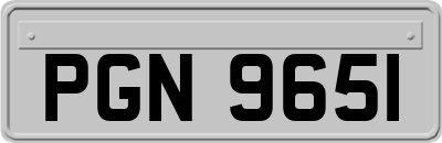 PGN9651