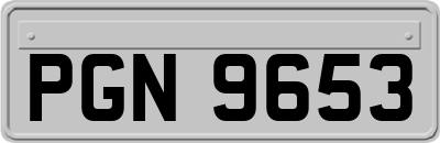 PGN9653