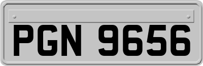 PGN9656