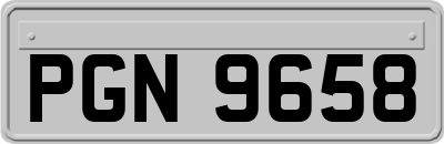 PGN9658