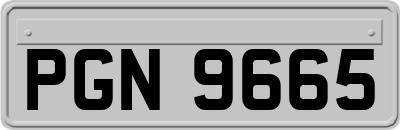 PGN9665