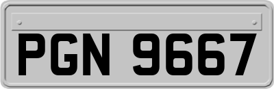 PGN9667