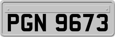 PGN9673