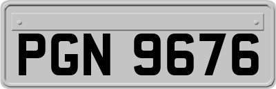 PGN9676