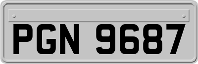 PGN9687