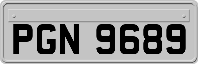 PGN9689
