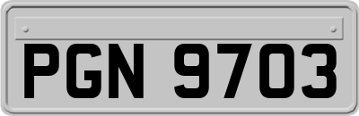 PGN9703