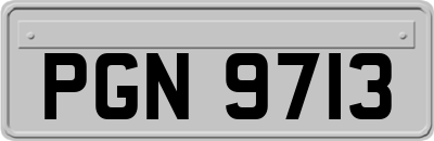 PGN9713