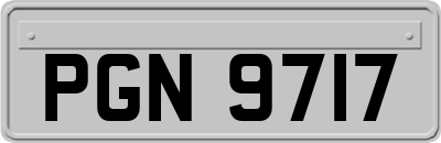 PGN9717