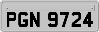 PGN9724