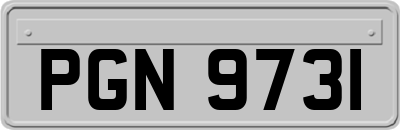 PGN9731