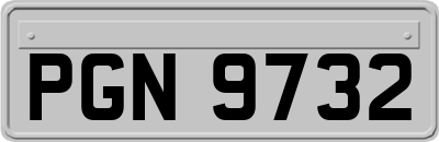 PGN9732