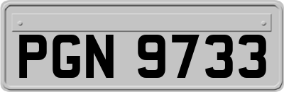PGN9733