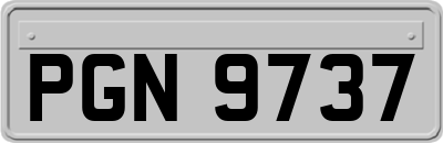 PGN9737