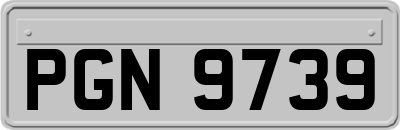PGN9739