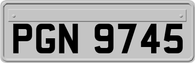 PGN9745