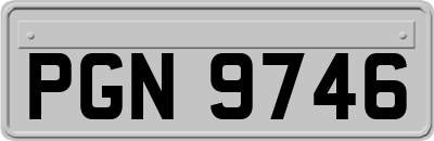 PGN9746