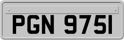 PGN9751