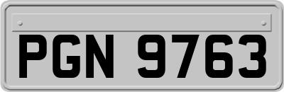 PGN9763