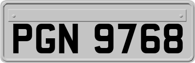 PGN9768