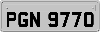 PGN9770