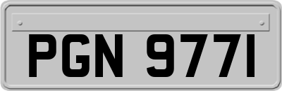 PGN9771