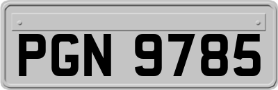 PGN9785