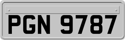 PGN9787