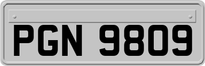 PGN9809