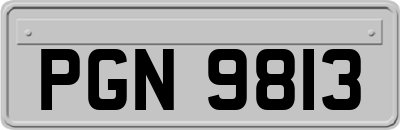 PGN9813