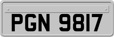 PGN9817