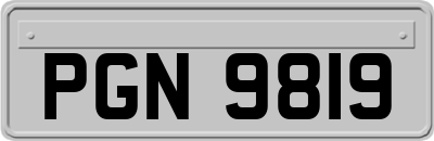 PGN9819