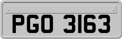 PGO3163