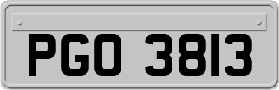 PGO3813