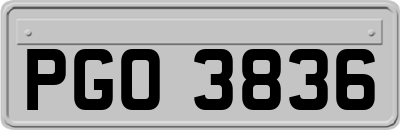 PGO3836
